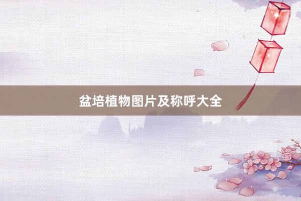 盆培植物图片及称呼大全